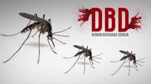 Kasus DBD di Pekanbaru Kembali Meningkat , Warga Dihimbau Waspada